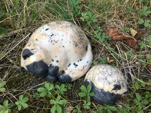 Schoulená kočka — foto 2
