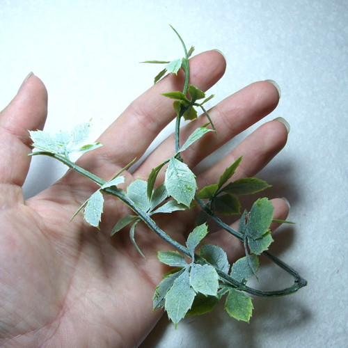 Mini psí víno — foto 2