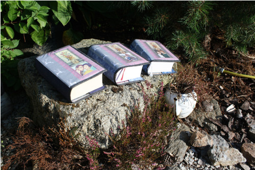 Sassenach - 3x — foto 2