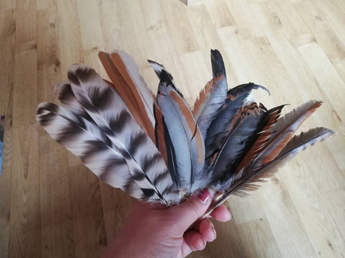 Přírodní peří 10-20cm — foto 2