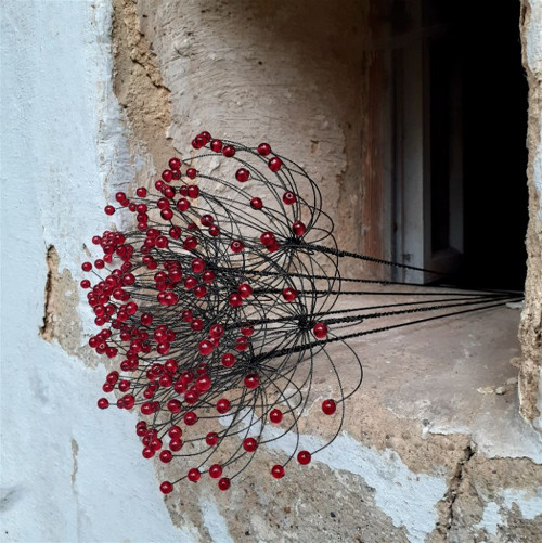 Bedrníček - červený čirý — foto 4