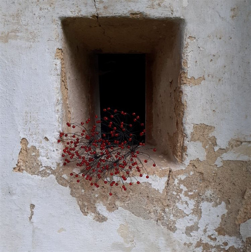 Bedrníček - červený čirý — foto 3