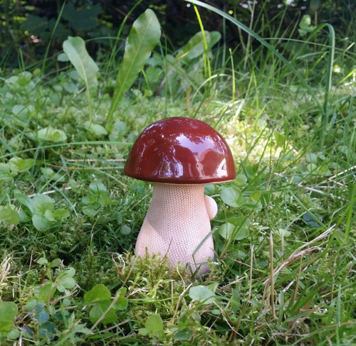 Hříbek klasik — foto 4