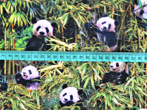Úplet - pandy — foto 3