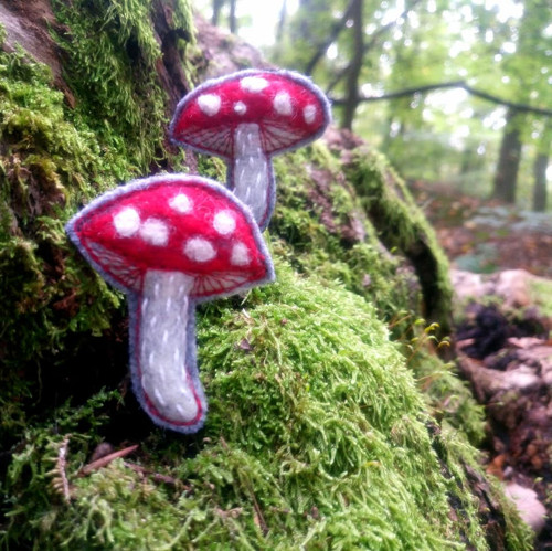 Muchomůrka... — foto 2