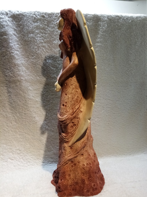 Anděl jehlový — foto 4