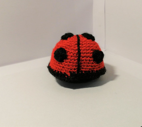 Mini plyšák beruška — foto 4