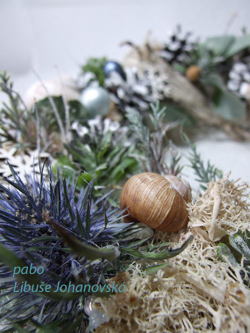 Věnec šedomodrý (340) — foto 3