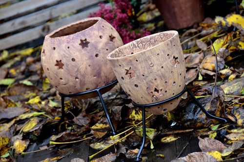 Svícen vysoký - ihned — foto 5