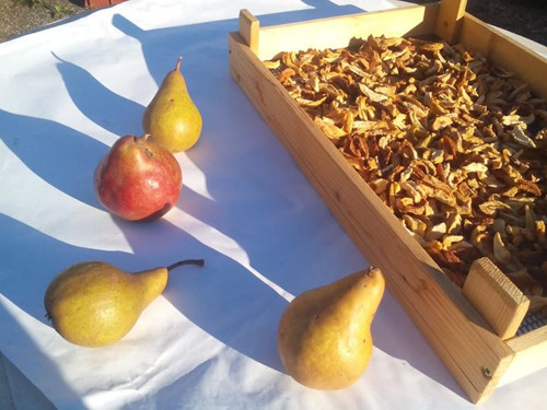 Sušené hrušky, 500 gramů — foto 4