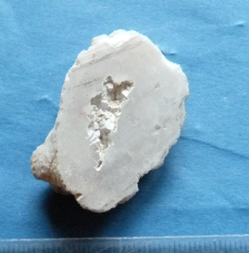 Geodka kašolong - 3,5 cm — foto 2
