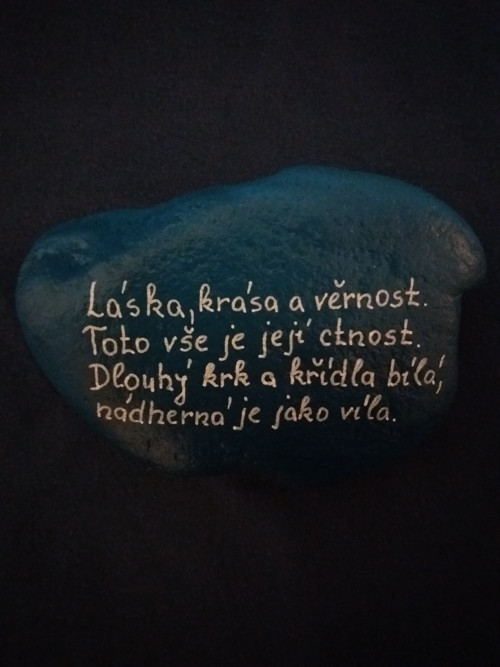 Labut pohodarka. — foto 2