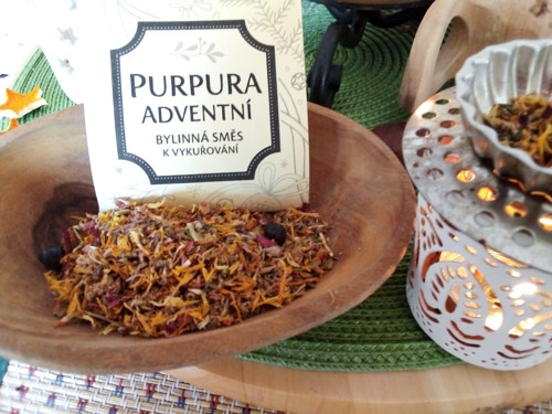 Purpura adventní — foto 3