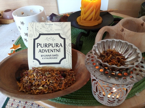 Purpura adventní — foto 2
