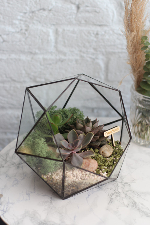 Geometrické skleněné terárium "Brilliant" — foto 3