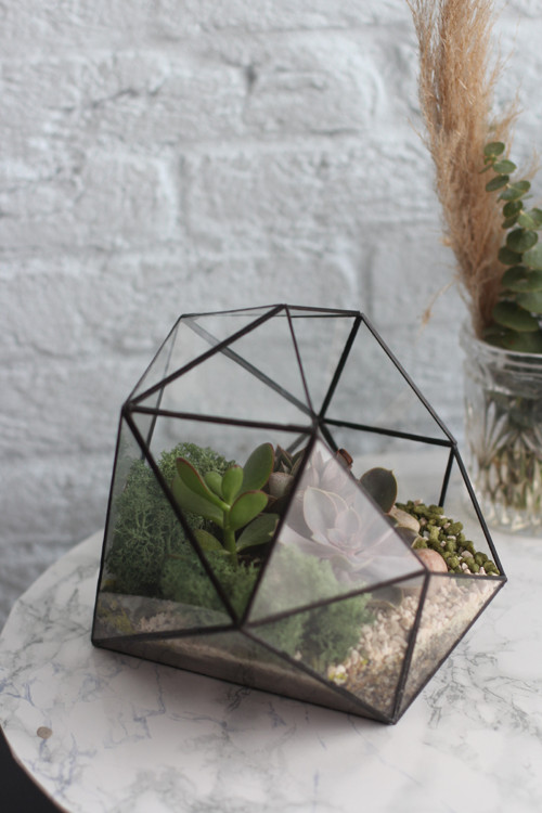 Geometrické skleněné terárium "Brilliant" — foto 4