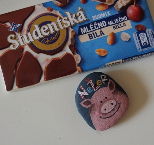 Motivační čuňák 4 — foto 2