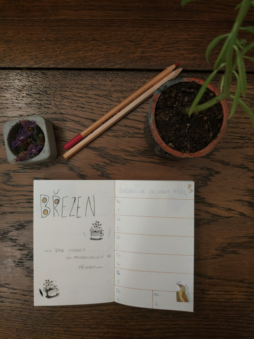 Jedinečný diář — foto 4