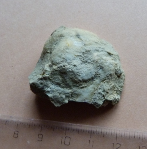 Opál dřevitý - 3,5 cm - Extra — foto 4