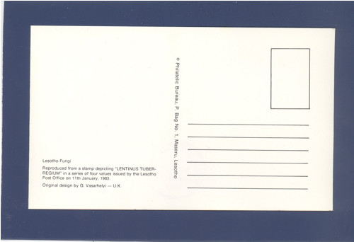 Houba Lentinus tuber-regium - Cartes Maximum — foto 2