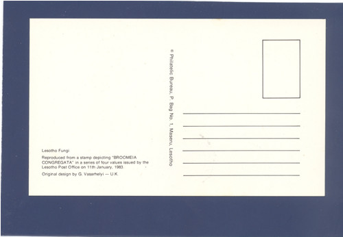 Houba Broomeia Congregata - Cartes Maximum — foto 2