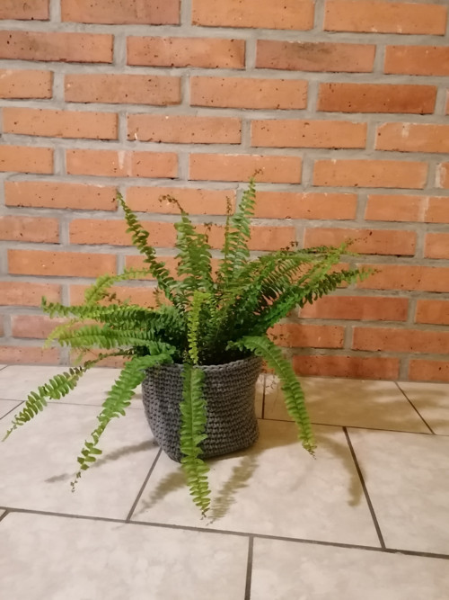 Košíček a košík v jednom — foto 4