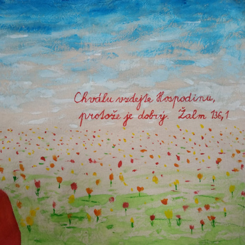 Plátěnka Na louce — foto 2