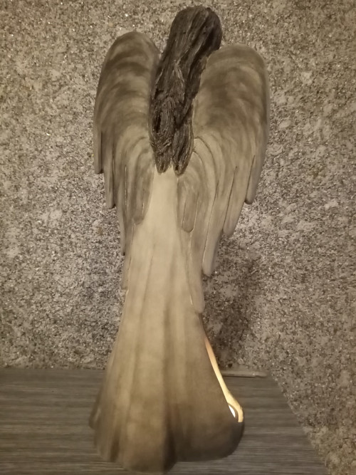 Anděl šedý — foto 3