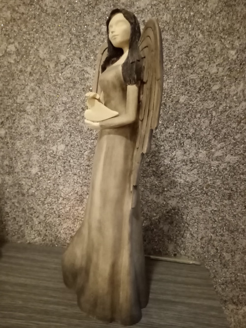 Anděl šedý — foto 4