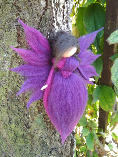 Elfinka Fialka — foto 2