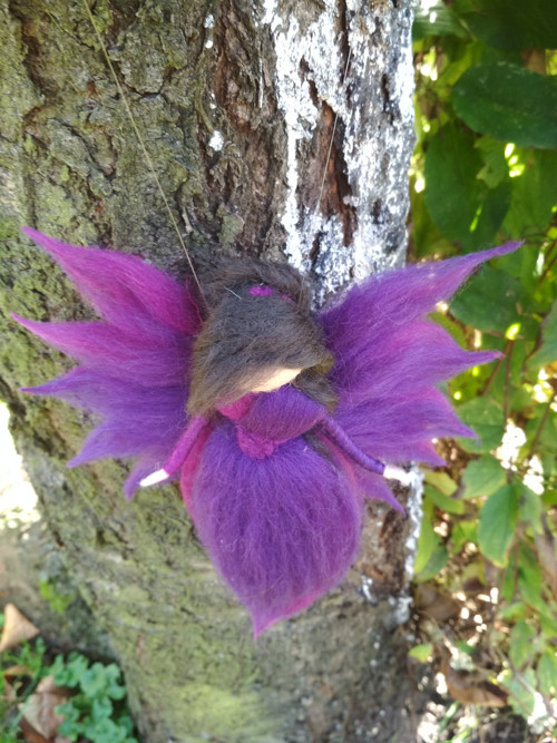 Elfinka Fialka — foto 5
