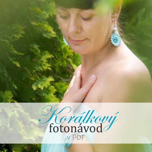 Korálkový návod (začátečník) - Iléane — foto 6