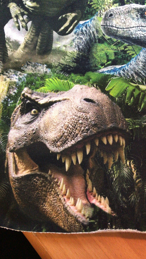 Dinosauří houmlesačka a nákrčník — foto 2