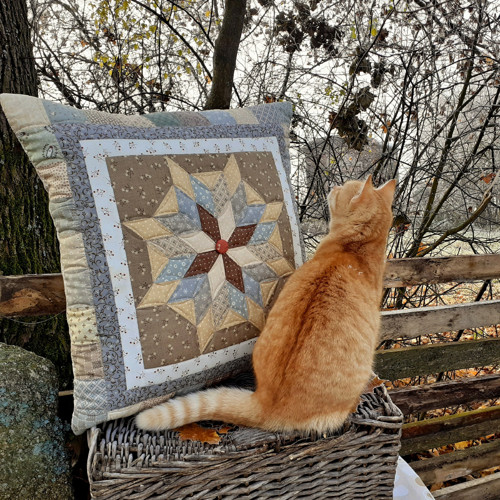 Hvězda — foto 3