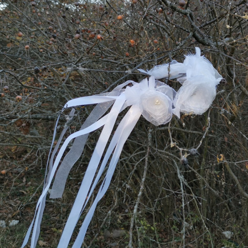 Angelika — foto 5