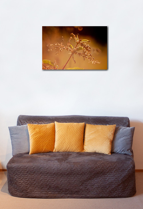 Autorská fotografie — foto 2