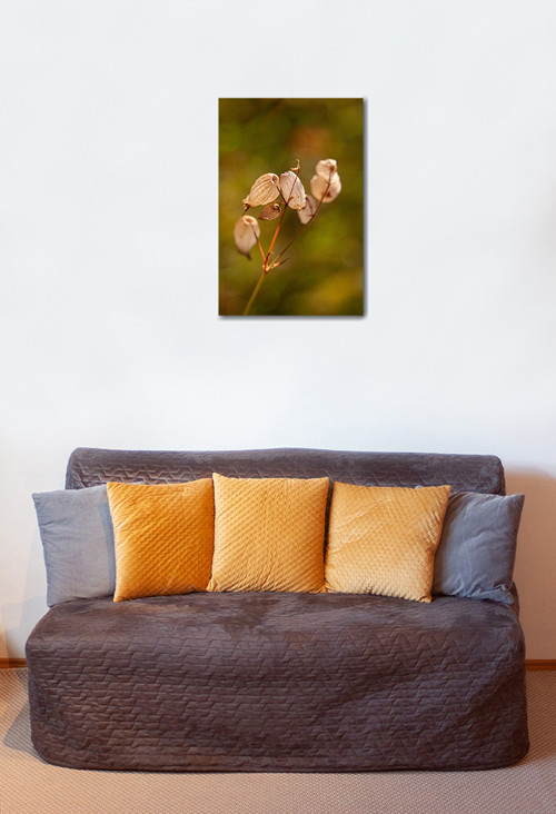 Autorská fotografie — foto 2