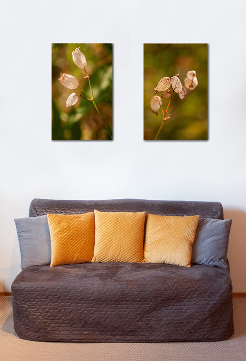 Autorská fotografie — foto 3
