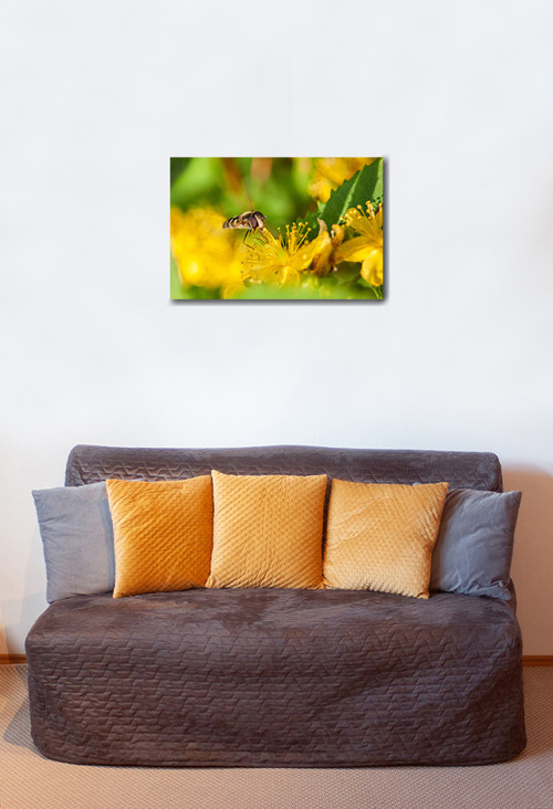 Autorská fotografie — foto 2