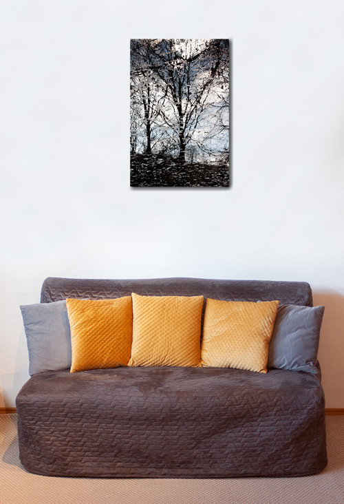 Autorská fotografie — foto 2