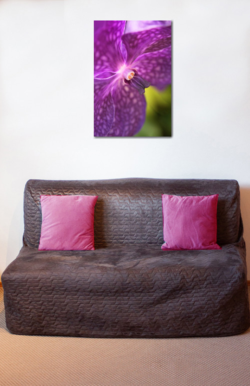 Autorská fotografie — foto 2