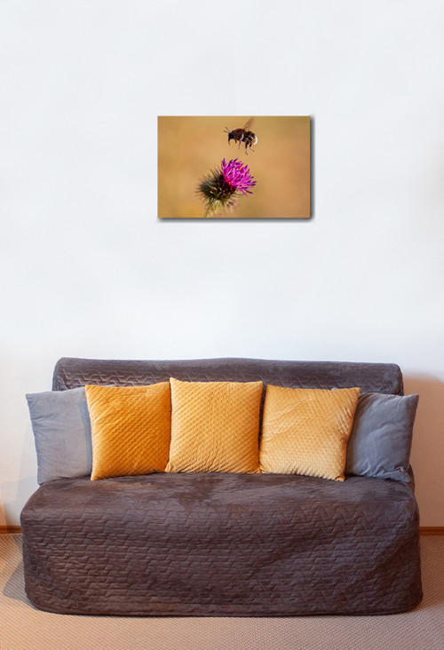 Autorská fotografie — foto 2