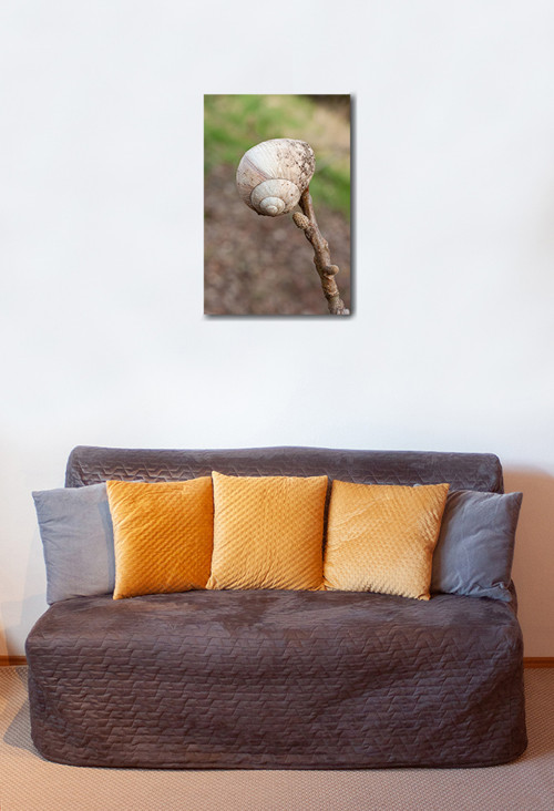 Autorská fotografie — foto 2