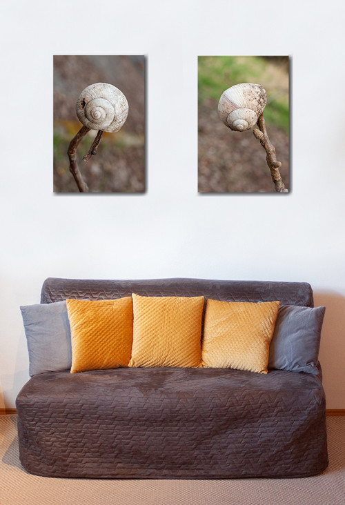 Autorská fotografie — foto 3