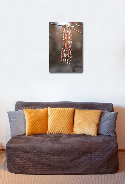Autorská fotografie — foto 2
