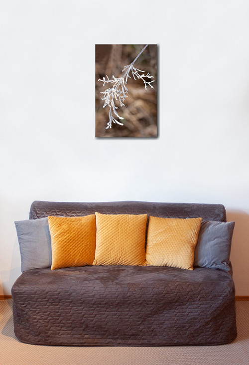 Autorská fotografie — foto 2