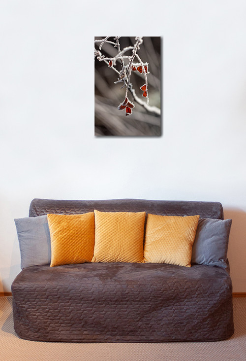 Autorská fotografie — foto 2