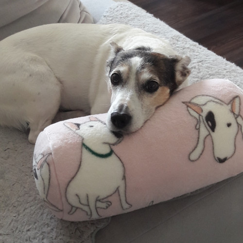 Relaxačný vankúš Labrador — foto 2