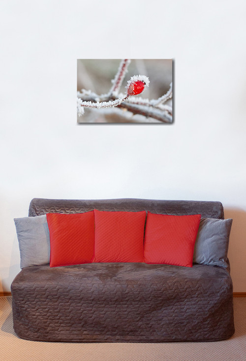 Autorská fotografie — foto 2