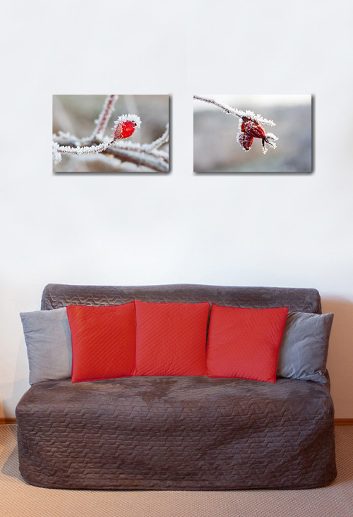 Autorská fotografie — foto 3